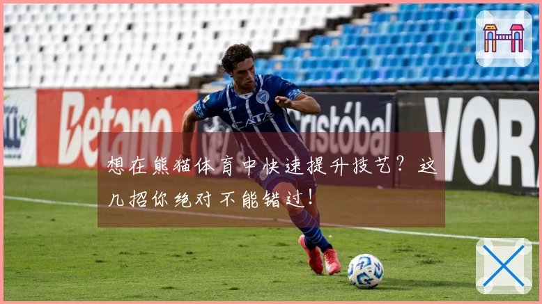 想在熊猫体育中快速提升技艺？这几招你绝对不能错过！