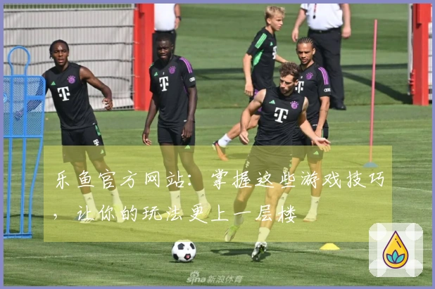 乐鱼官方网站：掌握这些游戏技巧，让你的玩法更上一层楼