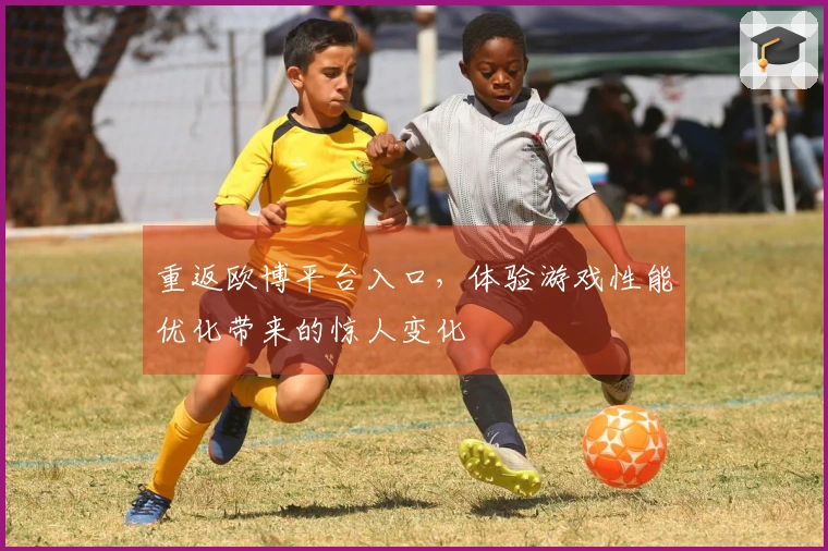 重返欧博平台入口,体验游戏性能优化带来的惊人变化